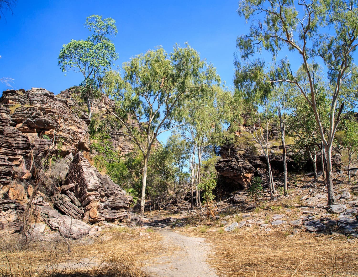 Kakadu National Park | Explore Kakadu